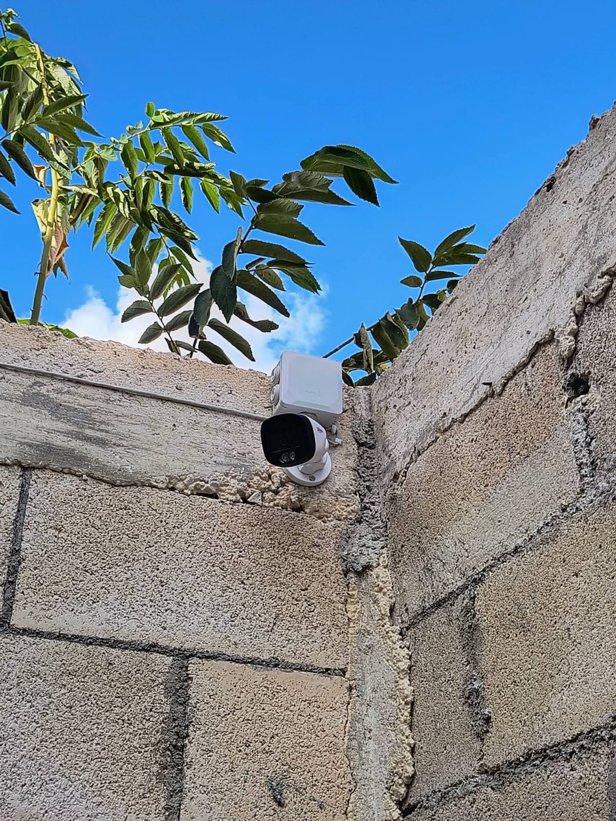 Imagen de la empresa 5